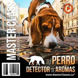 tu perro detector de aromas
