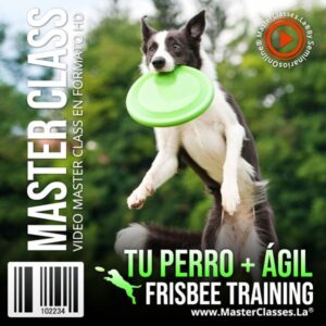 tu perro mas agil frisbee training