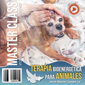 terapia bioenergetica para animales