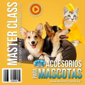 accesorios para mascotas
