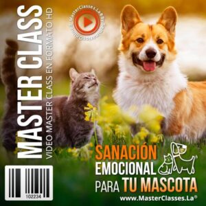 sanacion emocional para tu mascota