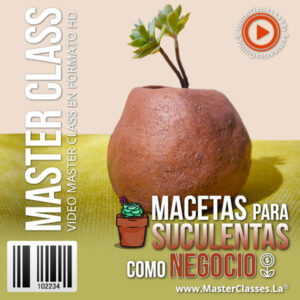 macetas suculentas como negocio