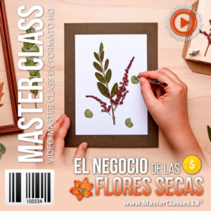 el negocio de las flores secas
