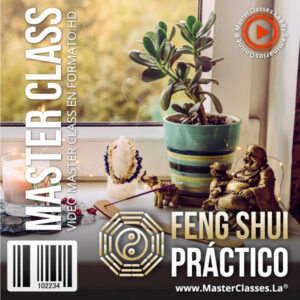 feng shui practico