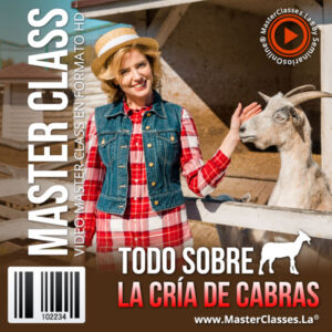 todo sobre la cria de cabras