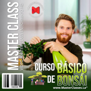 curso-basico-de-bonsai