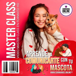 aprende-a-comunicarte-con-tu-mascota